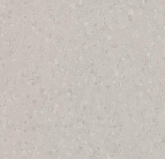 Forbo Sphera Element 50028 greige фото 1 | FLOORDEALER